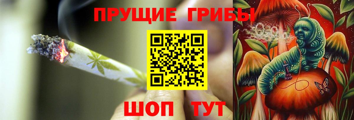 цены наркотик  Вход с VPN  Псилоцибиновые грибы Psilocybine cubensis  Уфа  Псилоцибиновые грибы Psilocybine cubensis 